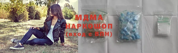 гашик Алексин