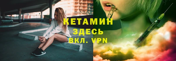 гашик Алексин