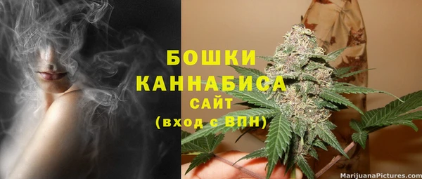 тгк Сатка