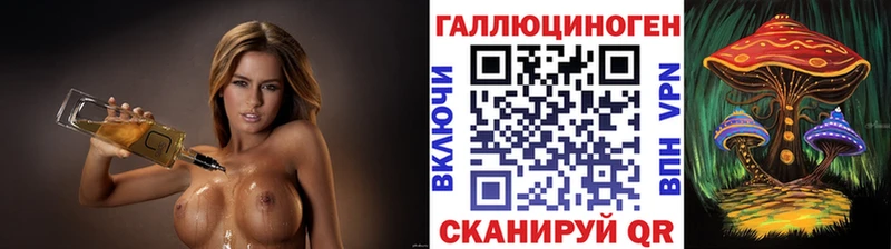 Галлюциногенные грибы Psilocybe  Зеленоградск 
